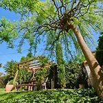 Avantgarden