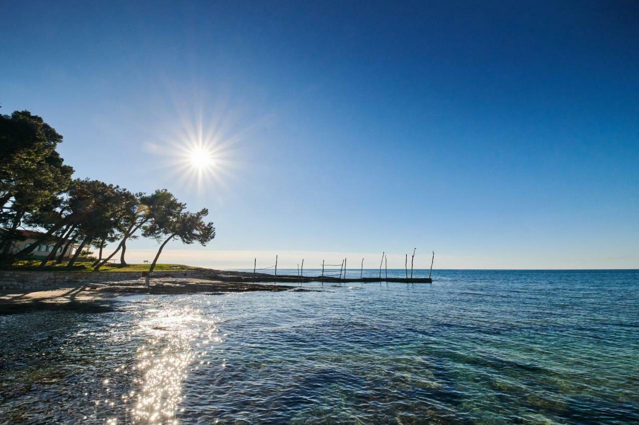 Avantgarden * Umag