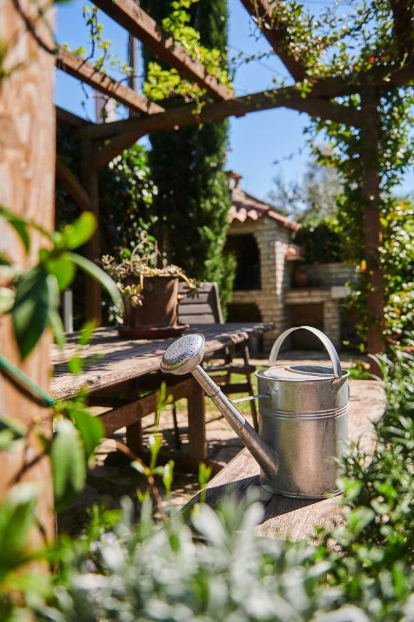 Avantgarden Apartment Umag