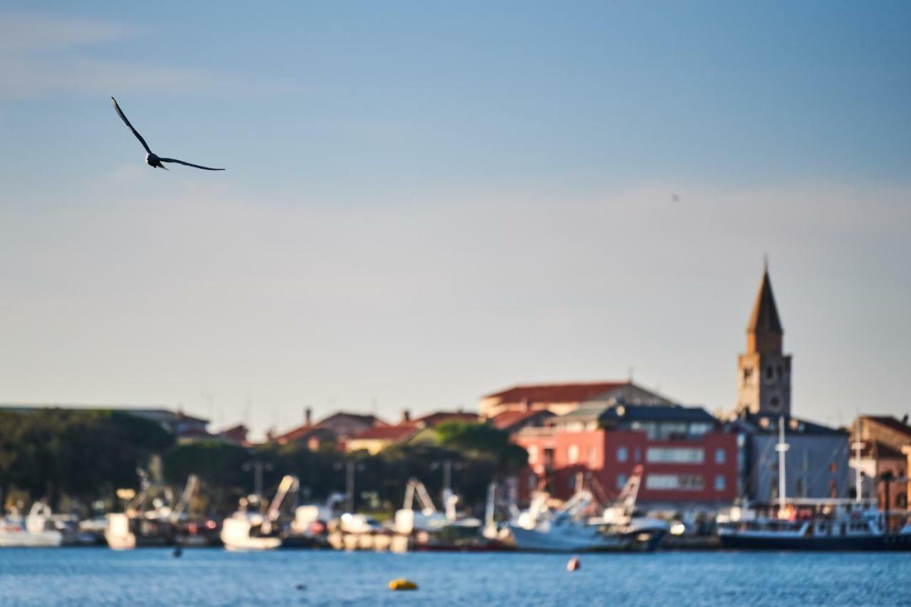 Avantgarden Umag